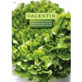 LISTNA ZELENJAVA VALENTIN 432 ENDIVIJA ESCARIOL GRUNER