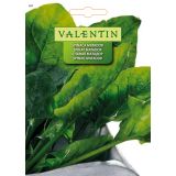 LISTNA ZELENJAVA VALENTIN 467 ŠPINAČA MATADOR