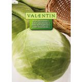 KAPUSNICA VALENTIN 47 ZELJE VARAŽDINSKO 2