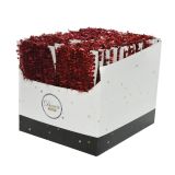 GIRLANDA 5 M SORT RDEČA / T. RDEČA