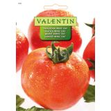 PLODOVKA VALENTIN 510 PARADIŽNIK HEINZ 1307