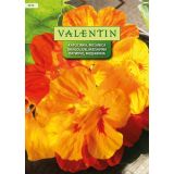 KAPUCINKA VALENTIN 5474 MEŠANICA