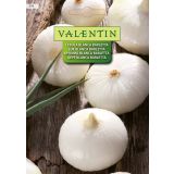 ČEBULNICA VALENTIN 576 ČEBULA BLANCA BARLETTA