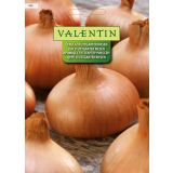 ČEBULNICA VALENTIN 595 ČEBULA STUTTGARTER RIESEN