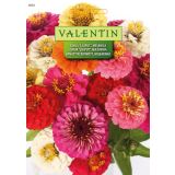 CINIJA VALENTIN 6002 DROBNOCVETNA MEŠANICA