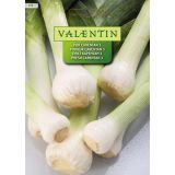 ČEBULNICA VALENTIN 614 POR CARENTAN 3