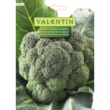 KAPUSNICA VALENTIN 9 BROKOLI ROMOSO CALABRESE