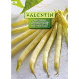 STROČNICA VALENTIN 992 FIŽOL NIZEK BERGGOLD