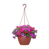 PE ZUNANJI LONEC ALGARVE RDEČ 25CM