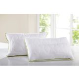 VZGLAVNIK DORMEO ALOE VERA CLASSIC V3 50X70 CM