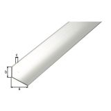 KOTNI PROFIL ALBERTS ALU 40X10X2X26000 MM