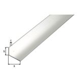 KOTNI PROFIL ALBERTS ALU 40X20X2X2600 MM