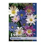 POLETI CVETOČA ČEBULICA HOLLAND BULB MARKET ANEMONE BLANDA MIXED 0