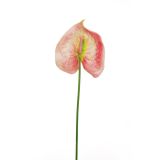 UMETNO CVETJE EVERGREENS ANTHURIUM ROZA ZELEN