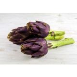 VRTNINA L'ORTO FRUTTIFERO ARTIČOKA DA SEME 4/1 KULTIPAK