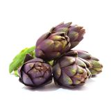 ZELENJAVNA SADIKA L'ORTO FRUTTIFERO ARTIČOKA TEROM 1/1 L10