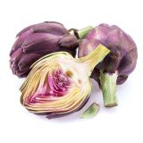 ZELENJAVNA SADIKA L'ORTO FRUTTIFERO ARTIČOKA THEMA 1/1 L10