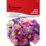 ASTRA SEMENARNA ENOJNA MIX 2405