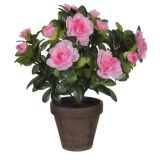 UMETNA LONČNICA MICA AZALEA ROZA SIV LONČEK H27XD11.5 CM