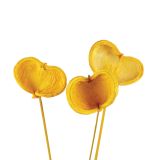 SUHO CVETJE BADAM NA PALICI 3 KOS