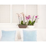 PE NOTRANJI LONEC BAHIA PLANT BOX TAUPE OVAL 35X17CM