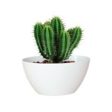 PE NOTRANJI LONEC BAHIA PLANT BOX BEL 22X13 CM VIŠ 11CM