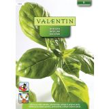 SEMENA VALENTIN BAZILIKA 1076