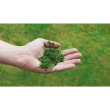 BENCINSKA KOSILNICA EINHELL GC-PM 56 S HW