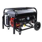 BENCINSKI AGREGAT PT3500 2900W 1F AVR