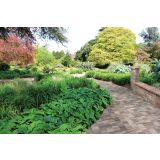 BETONSKI TLAKOVEC SEMMELROCK SB ASTI COLORI 5 CM RUBINSKO-RDEČA BAZALTNA