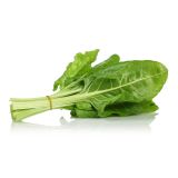 LISTNA ZELENJAVA L'ORTO FRUTTIFERO BLITVA 8/1 TAGLIO KULTIPAK