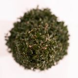 BODIKA ICOPRINS11 L29