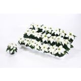 BOŽIČNA ZVEZDA BOŽIČNA ZVEZDA PERLA BELA L6