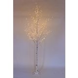 LUČKE R+W BREZA 240 CM 160L