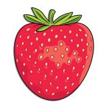 BRISAČA SIRETESSILE PLAŽNA KAKTUS, ANANAS JAGODA IN LUBENICA