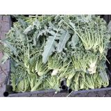 KAPUSNICE L'ORTO FRUTTIFERO BROKOLI 4/1 DI CREAZZO KULTIPAK