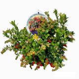 BRUSNICA FIREBALLS L15 CM