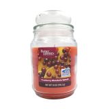 SVEČA BETTER HOMES BRUSNICA MANDARINA 510 G