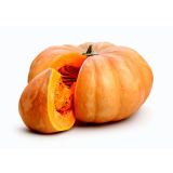 PLODOVKE L'ORTO FRUTTIFERO BUČA MUŠKATNA 1/1 DI PROVENZA L10