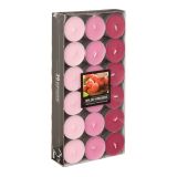 SVEČA GALA-KERZEN ČAJNA 36/1 DIVJA MALINA