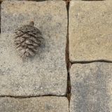 BETONSKI TLAKOVEC SEMMELROCK CASTELLO ANTICO BREZ IMITAC. 18, CM LAVA SIV