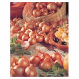 ŠALOTKA HOLLAND BULB MARKET REDSUN 500G