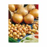 ČEBULA HOLLAND BULB MARKET STURON 500G