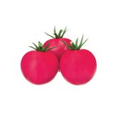 PLODOVKE VOLMARY CEPLJEN PARADIŽNIK SOLENA SWEET ROSE