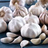 ČESEN ČESEN THERMIDROUR 400G