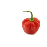 PLODOVKE L'ORTO FRUTTIFERO ČILI 1/1 BRASILIANO L14