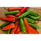 PLODOVKE L'ORTO FRUTTIFERO ČILI 1/1 SERRANO L14