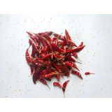 PLODOVKE L'ORTO FRUTTIFERO ČILI 4/1 CALABRESE F1 KULTIPAK