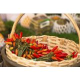 PLODOVKE L'ORTO FRUTTIFERO ČILI ČRNO RDEČ 1/1 EUREKA NERO ROSSO L14