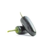 PLODOVKE L'ORTO FRUTTIFERO ČILI NEYDE 1/1 NEYDE PIRIFORMA L14